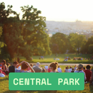 Copy of CENTRAL PARK